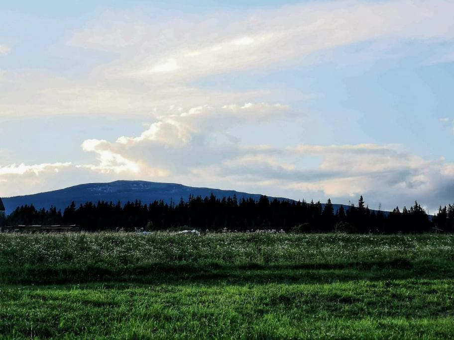 Pokoje U Kasi I Marcina Villa Lipnica Wielka Bagian luar foto