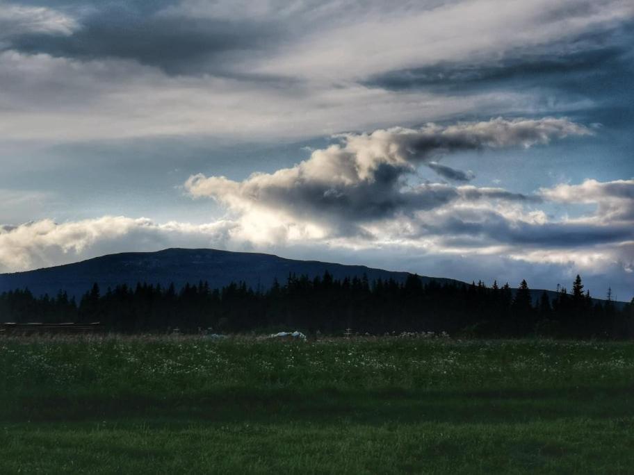 Pokoje U Kasi I Marcina Villa Lipnica Wielka Bagian luar foto