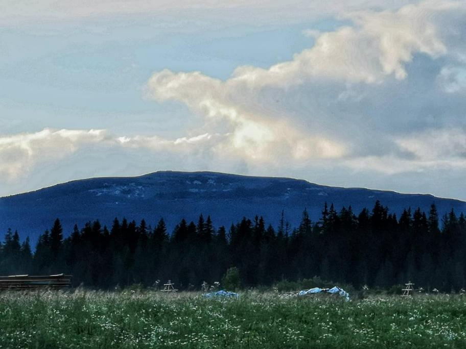 Pokoje U Kasi I Marcina Villa Lipnica Wielka Bagian luar foto